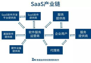 破坏者钉钉背后 SaaS玩家一片唏嘘，社会经济咨询服务或成新逃生路